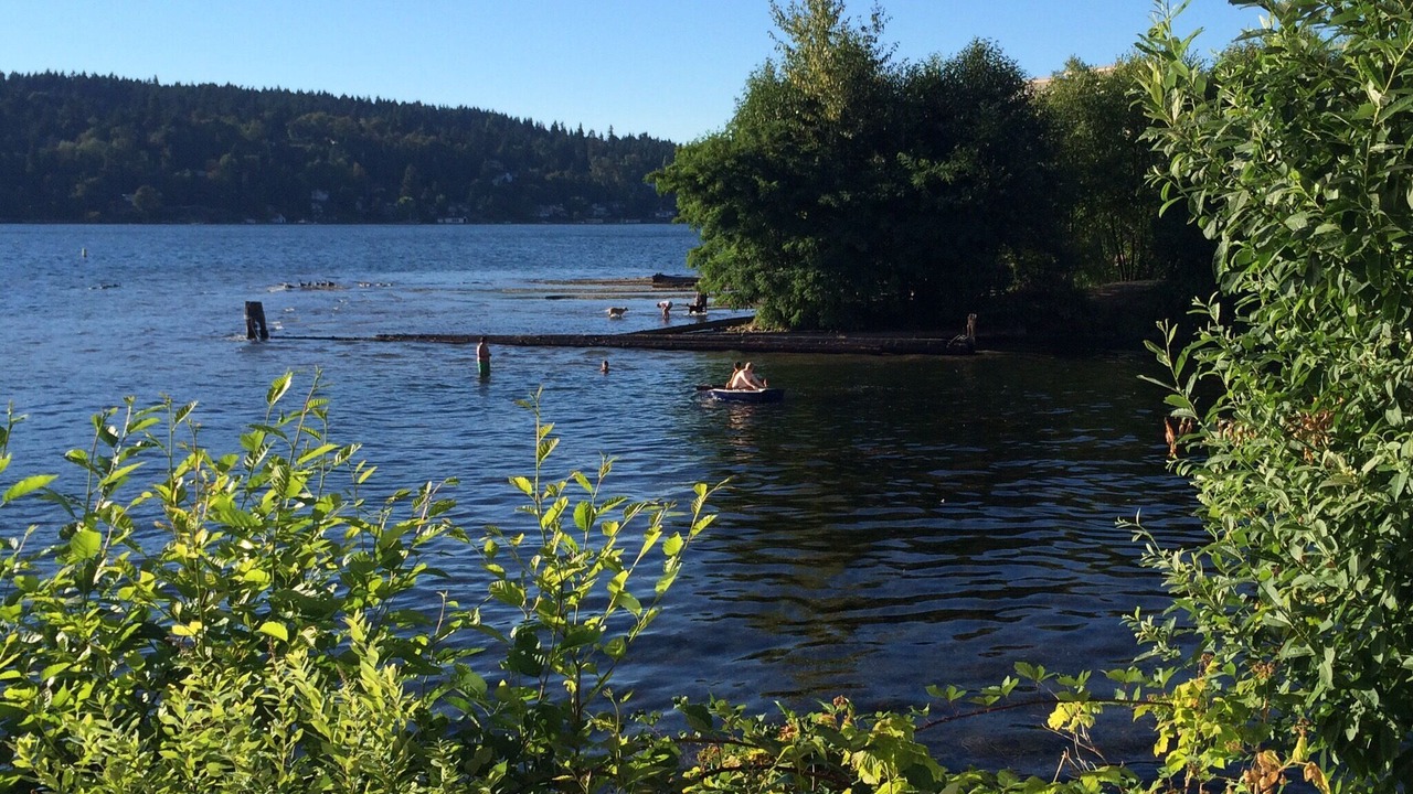 Photo of Others in Kennydale