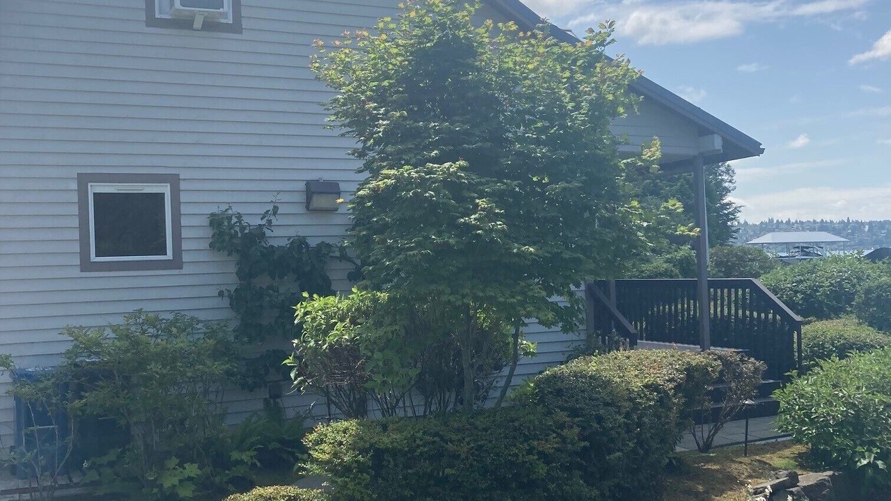 Photo of Others in Kennydale