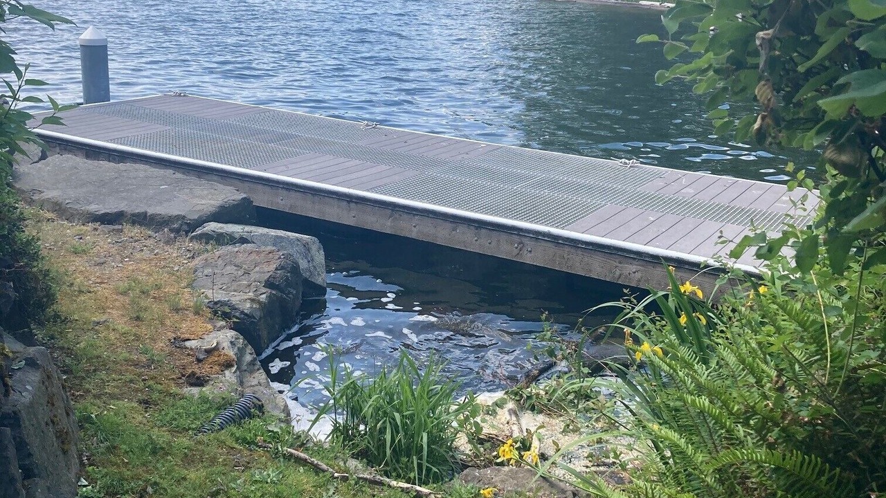 Photo of Outdoor in Kennydale