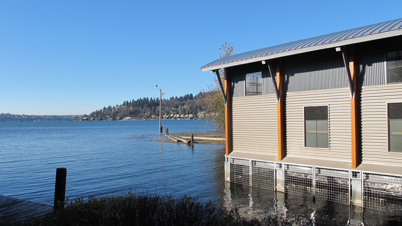 Photo of Others in Kennydale