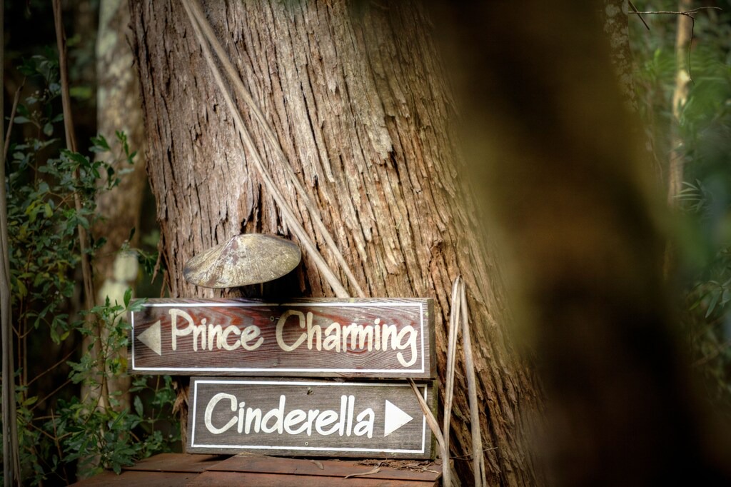 Photo of Buildings in Springbrook