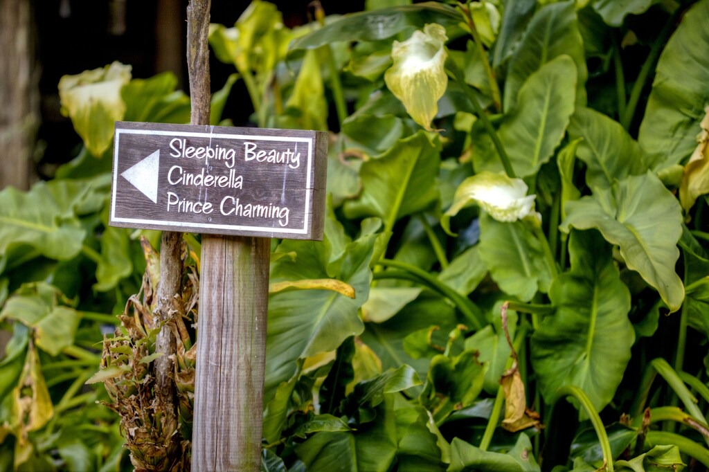 Photo of Others in Springbrook