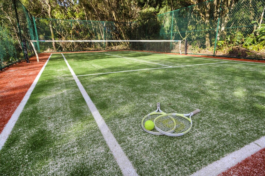 Photo of Others in Springbrook