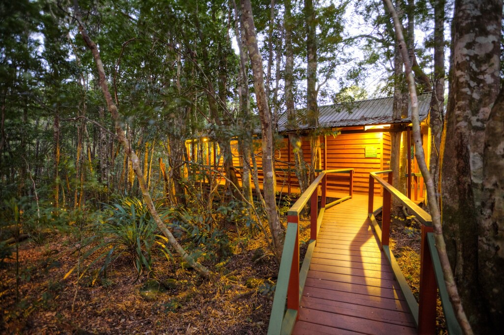 Photo of Others in Springbrook