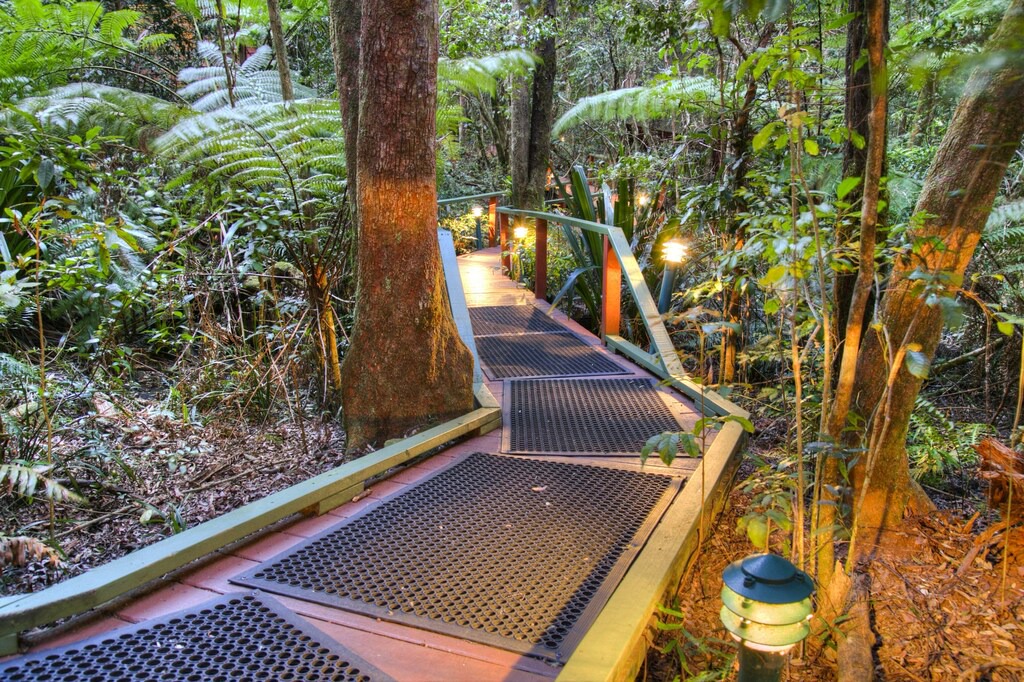 Photo of Patio Balcony in Springbrook