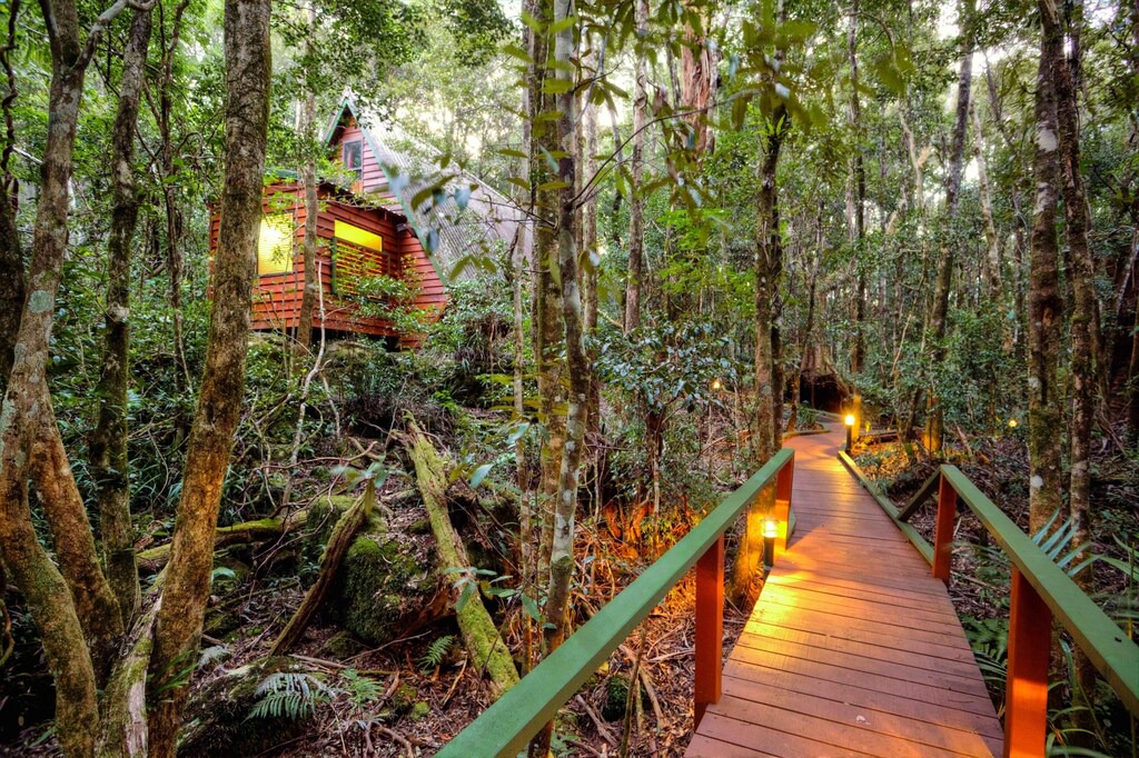 Photo of Others in Springbrook