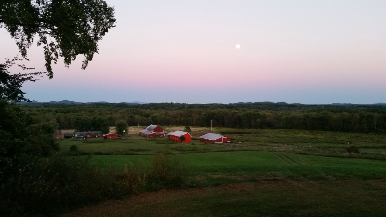 Photo of Outdoor in Gansevoort