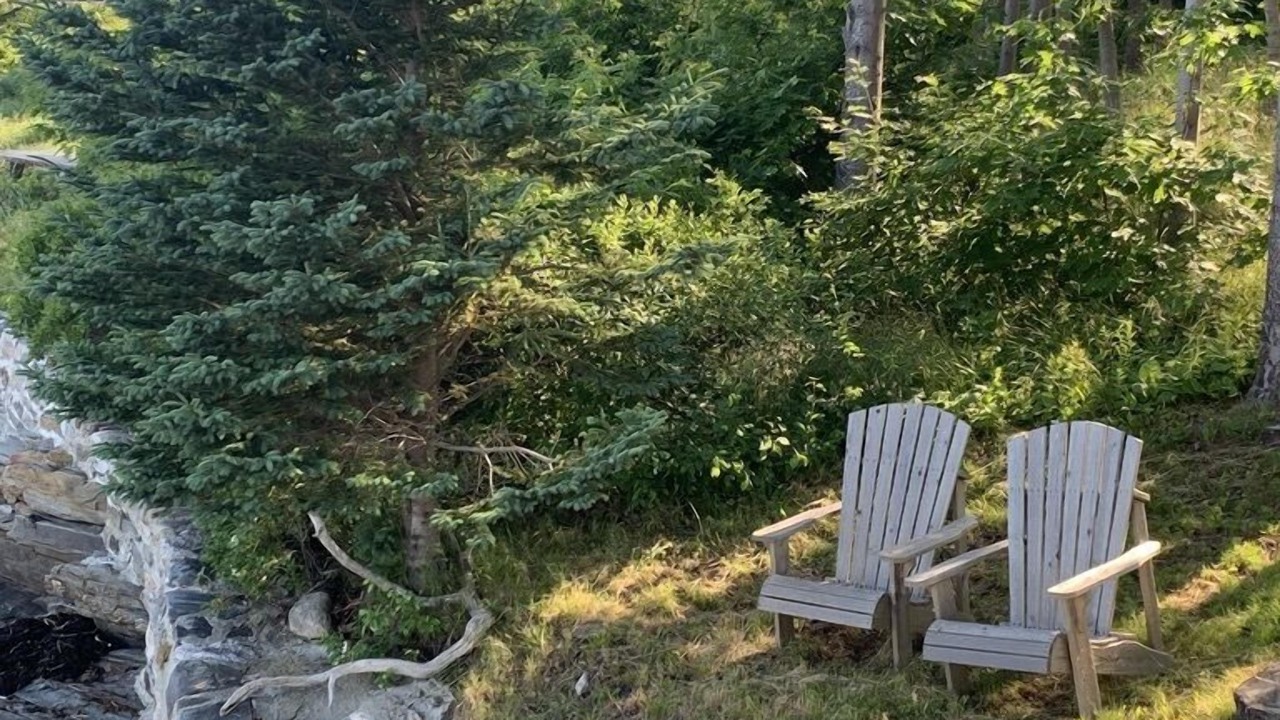 Photo of Outdoor in West Boothbay Harbor