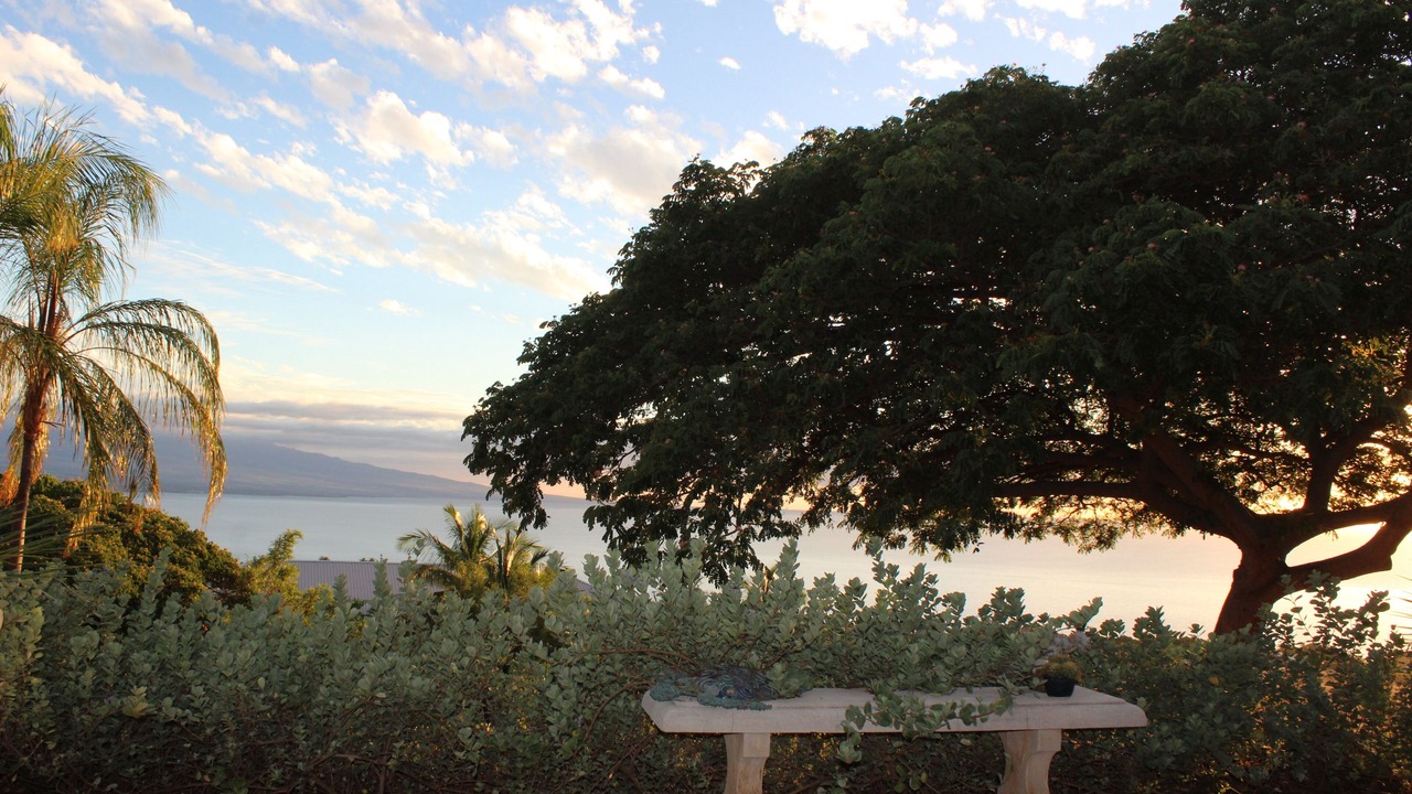 Photo of Others in Kohala Estates