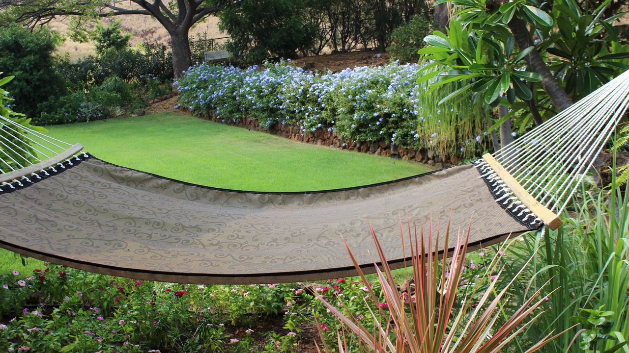 Photo of Others in Kohala Estates