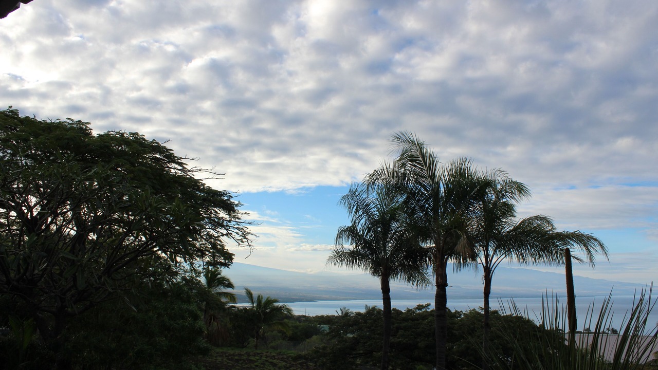 Photo of Others in Kohala Estates