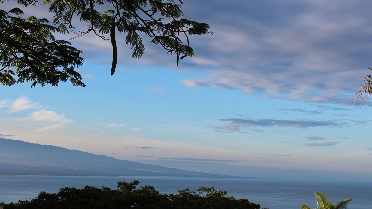 Photo of Others in Kohala Estates