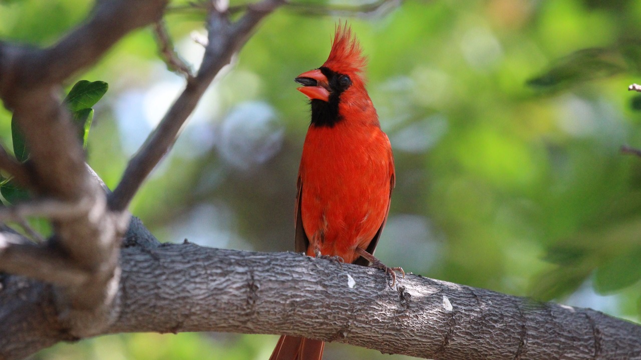 Photo of Others in Kohala Estates