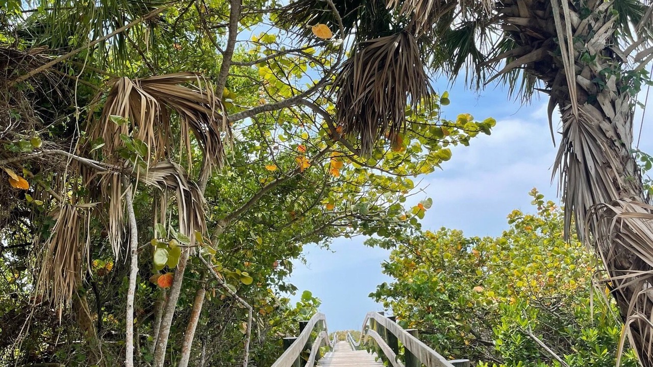 Photo of Outdoor in Placida