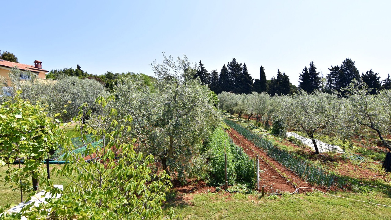 Photo of Outdoor in Savudrija