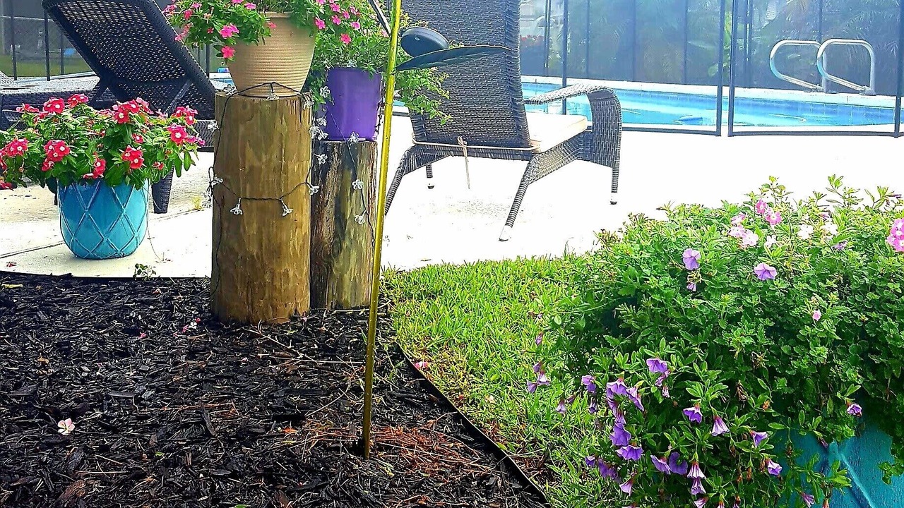Photo of Outdoor in Tampa Shores