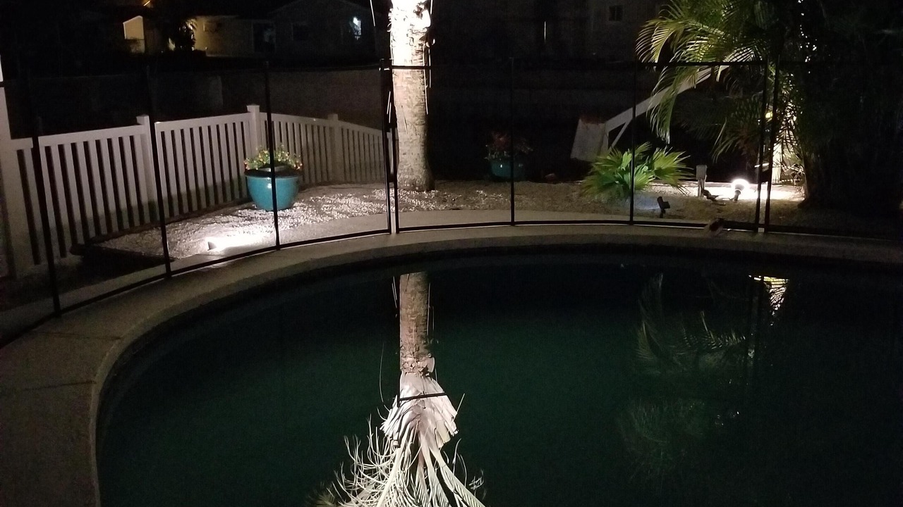 Photo of Outdoor in Tampa Shores