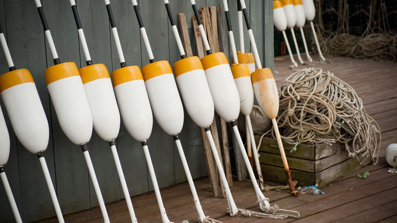 Photo of Others in Orrs Island