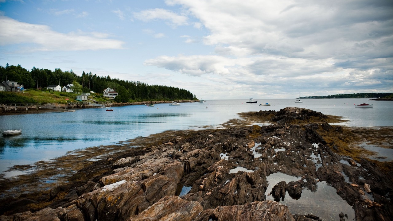 Photo of Others in Orrs Island