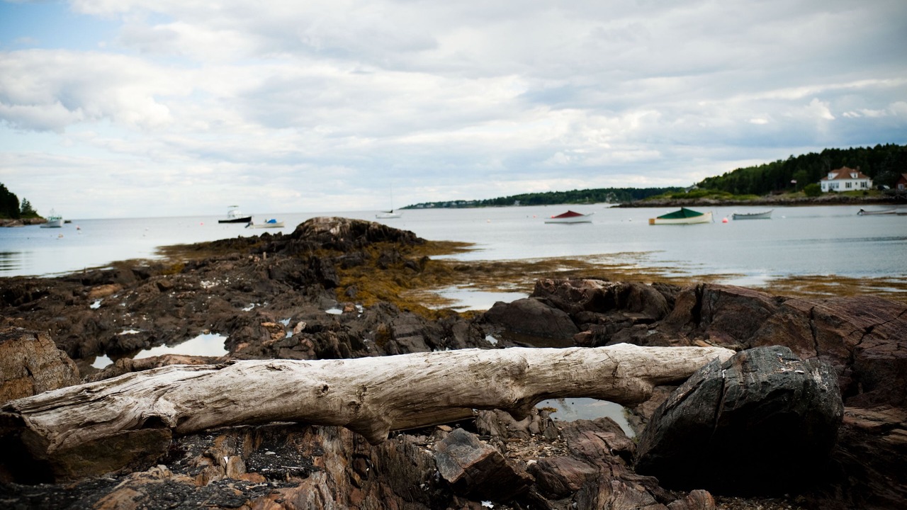 Photo of Others in Orrs Island