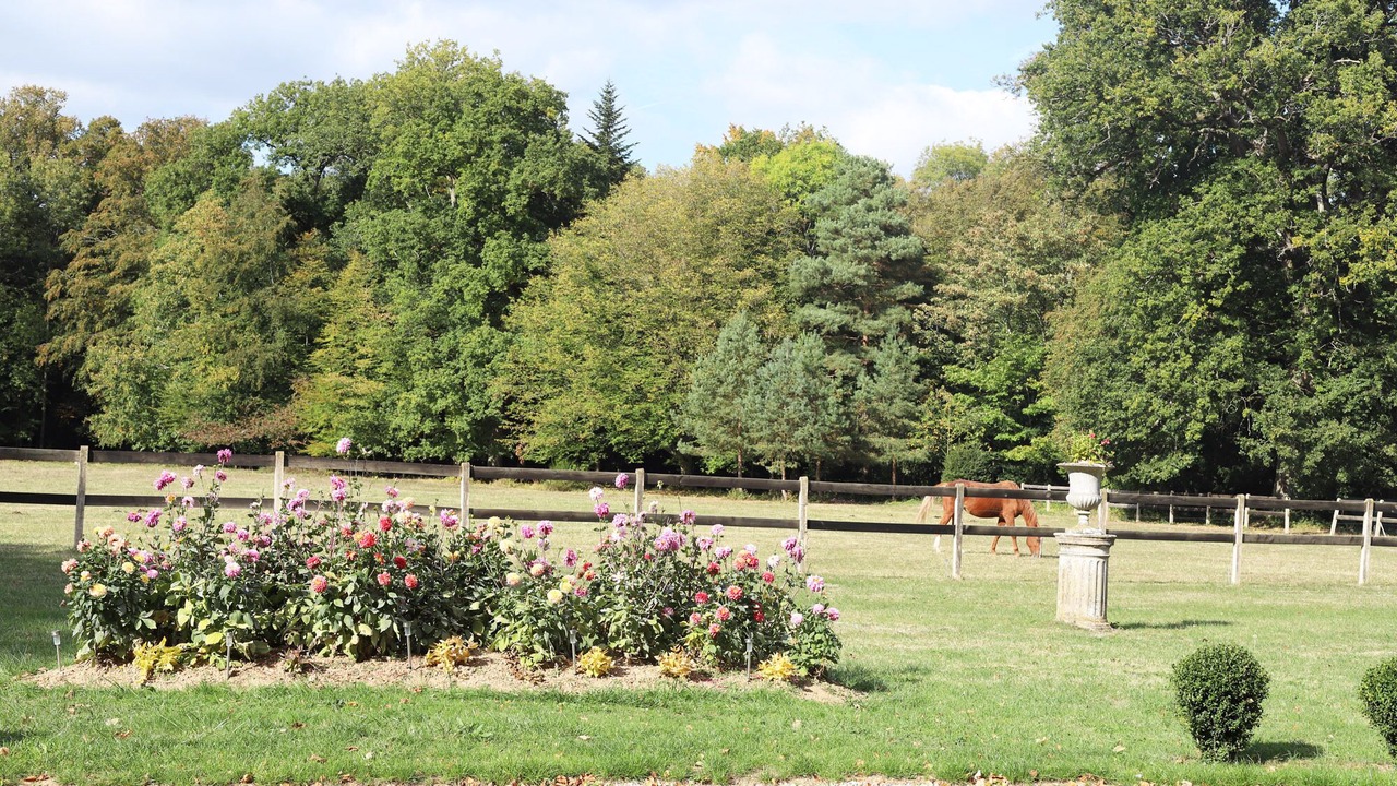Photo of Outdoor in La Chapelle-du-Bois-des-Faulx