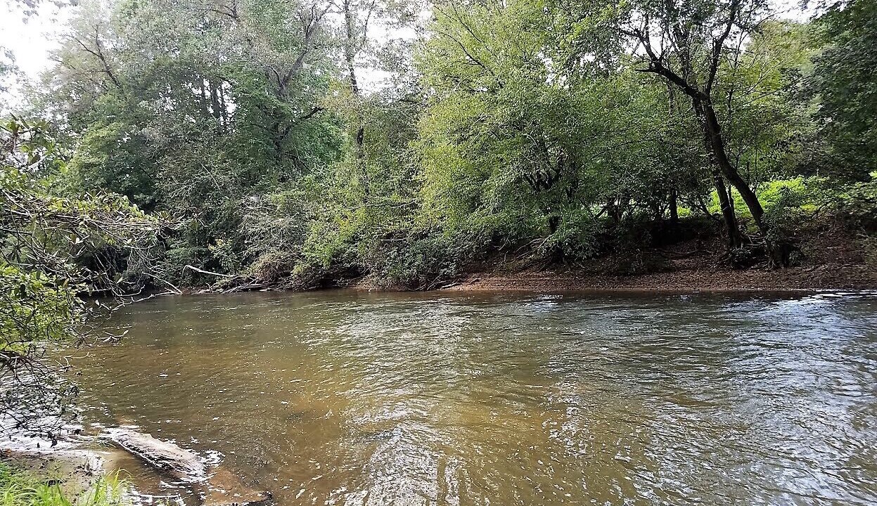 Photo of Others in Ellijay