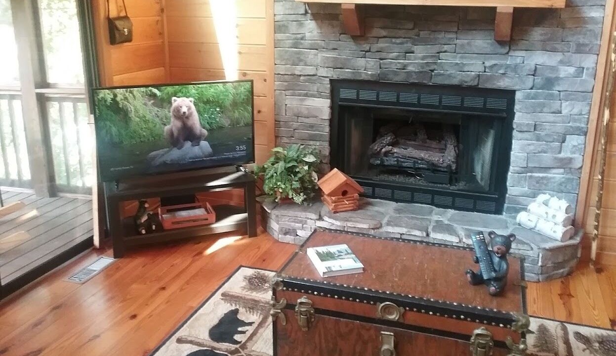 Photo of Livingroom in Ellijay