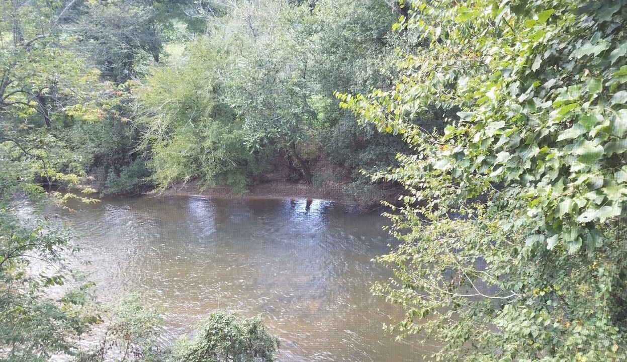 Photo of Others in Ellijay