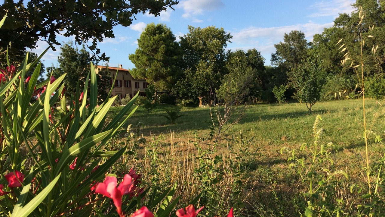 Photo of Outdoor in Villelongue-dels-Monts
