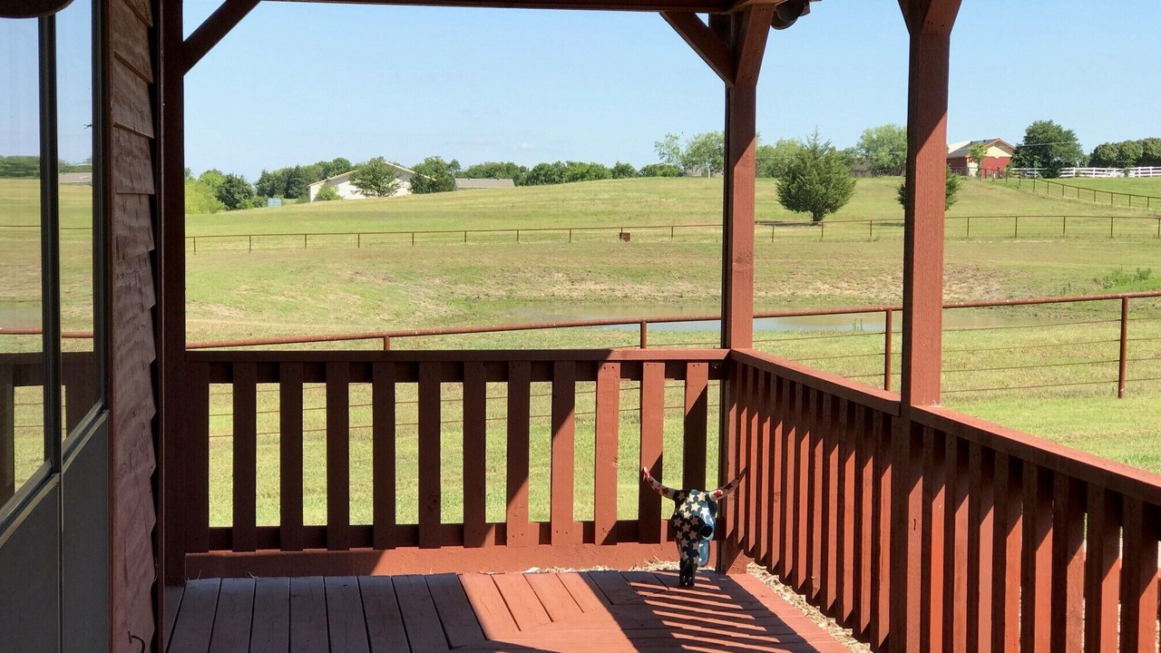Photo of Patio Balcony in Mesquite