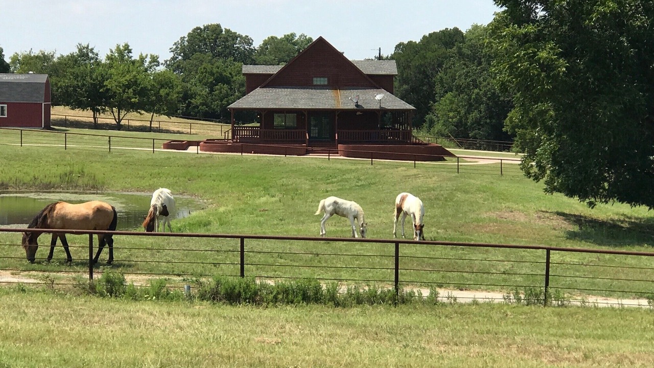 Photo of Outdoor in Mesquite