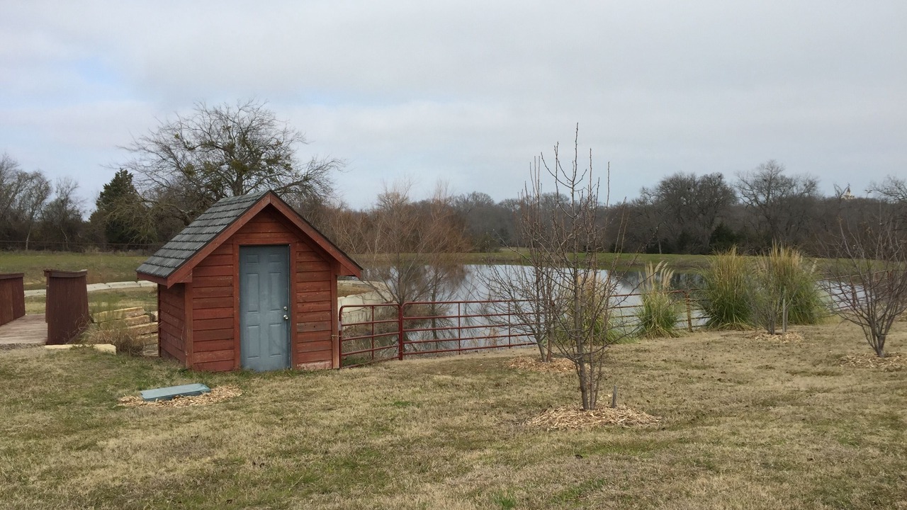 Photo of Outdoor in Mesquite