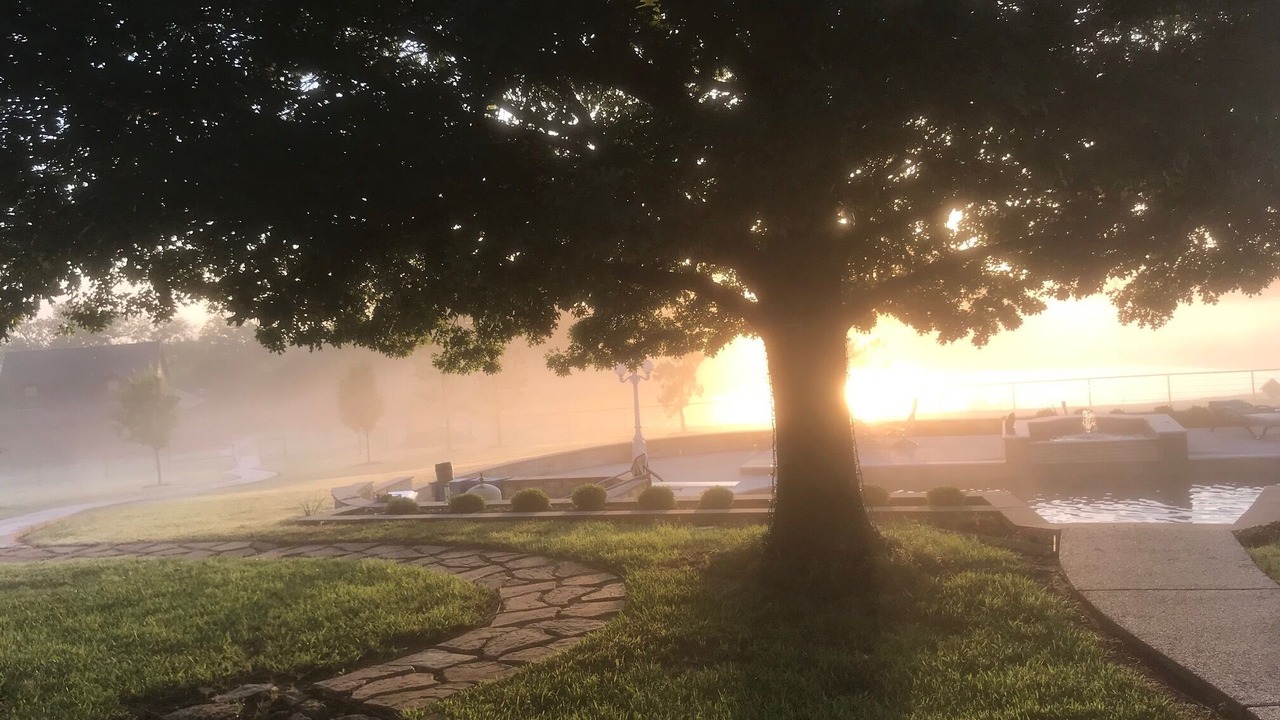 Photo of Outdoor in Mesquite