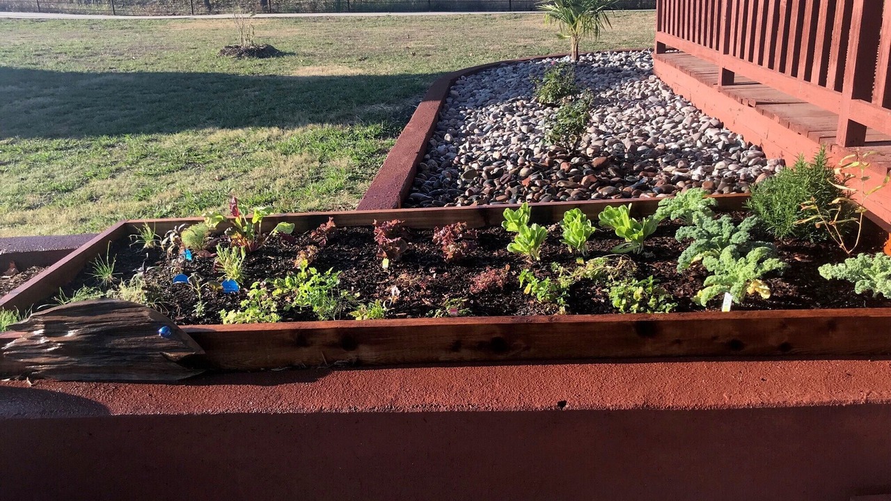 Photo of Outdoor in Mesquite