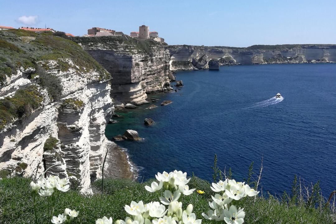 Photo of Outdoor in Moriani-Plage