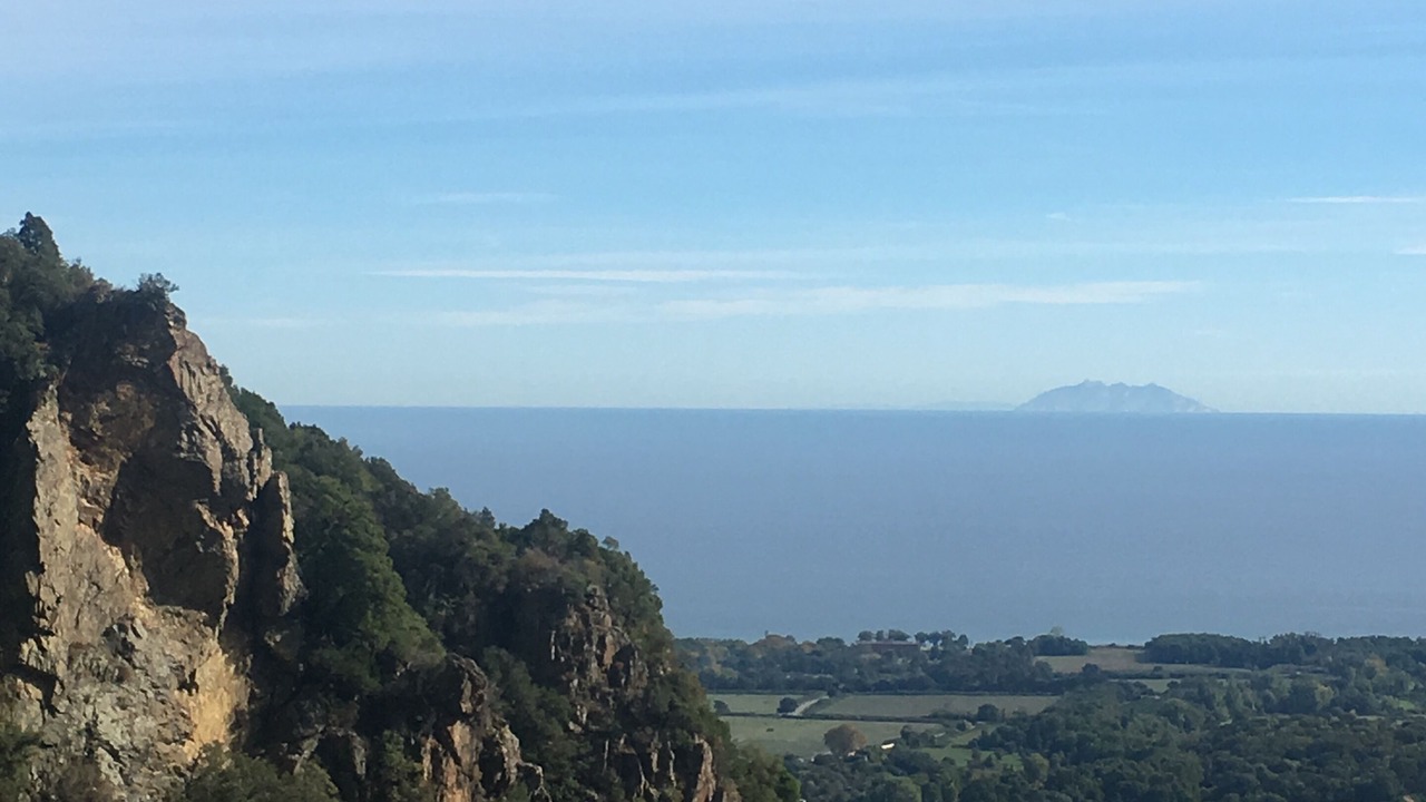 Photo of Others in Moriani-Plage