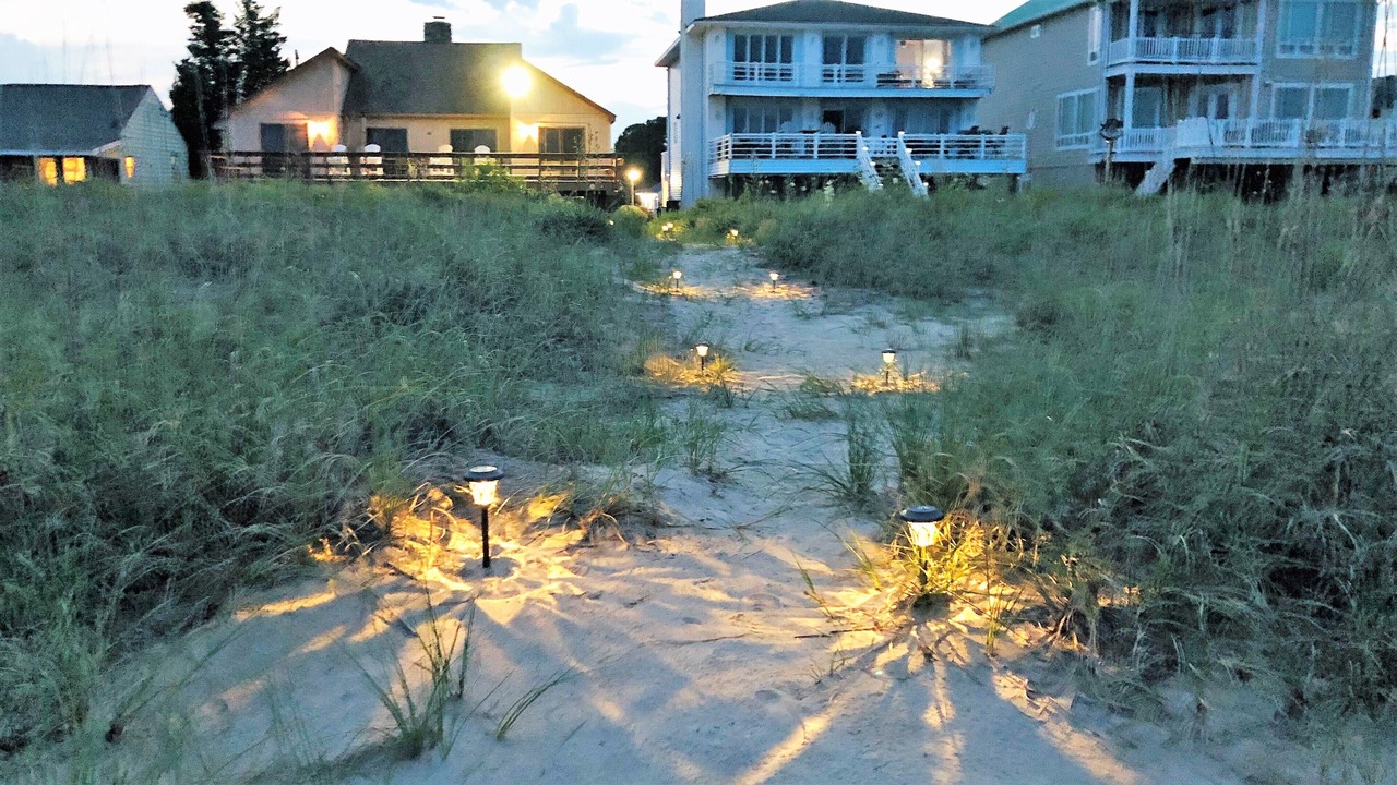 Photo of Others in Buckroe Beach