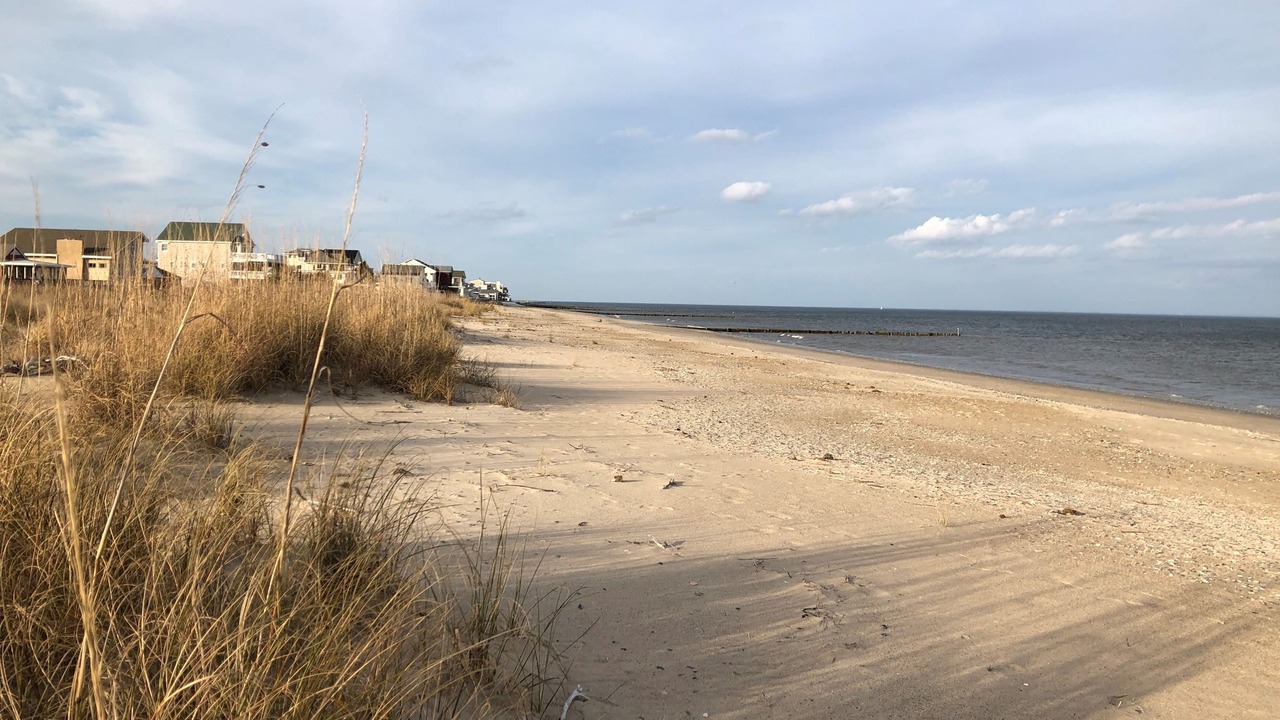 Photo of Others in Buckroe Beach