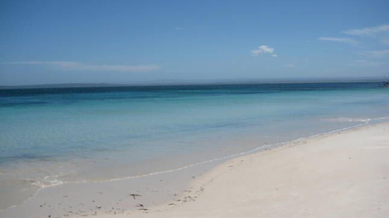 Photo of Others in Currarong