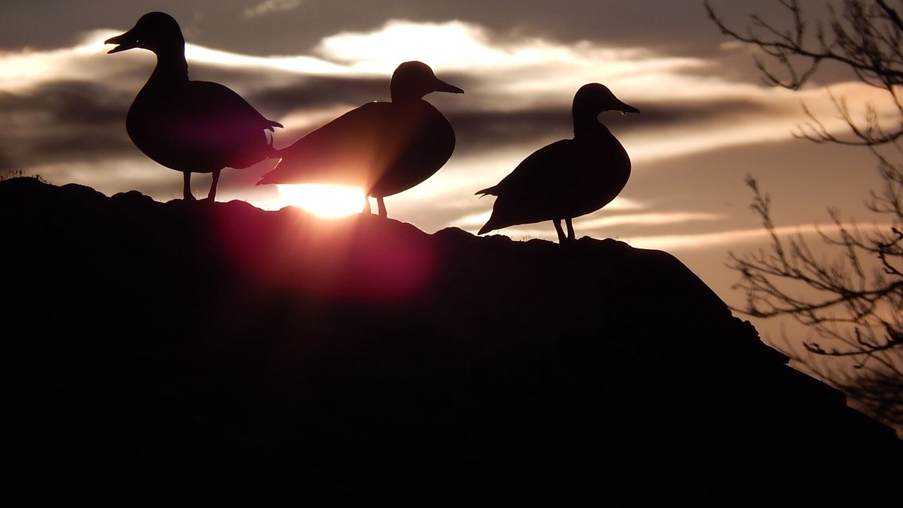 Photo of Others in Hartpury