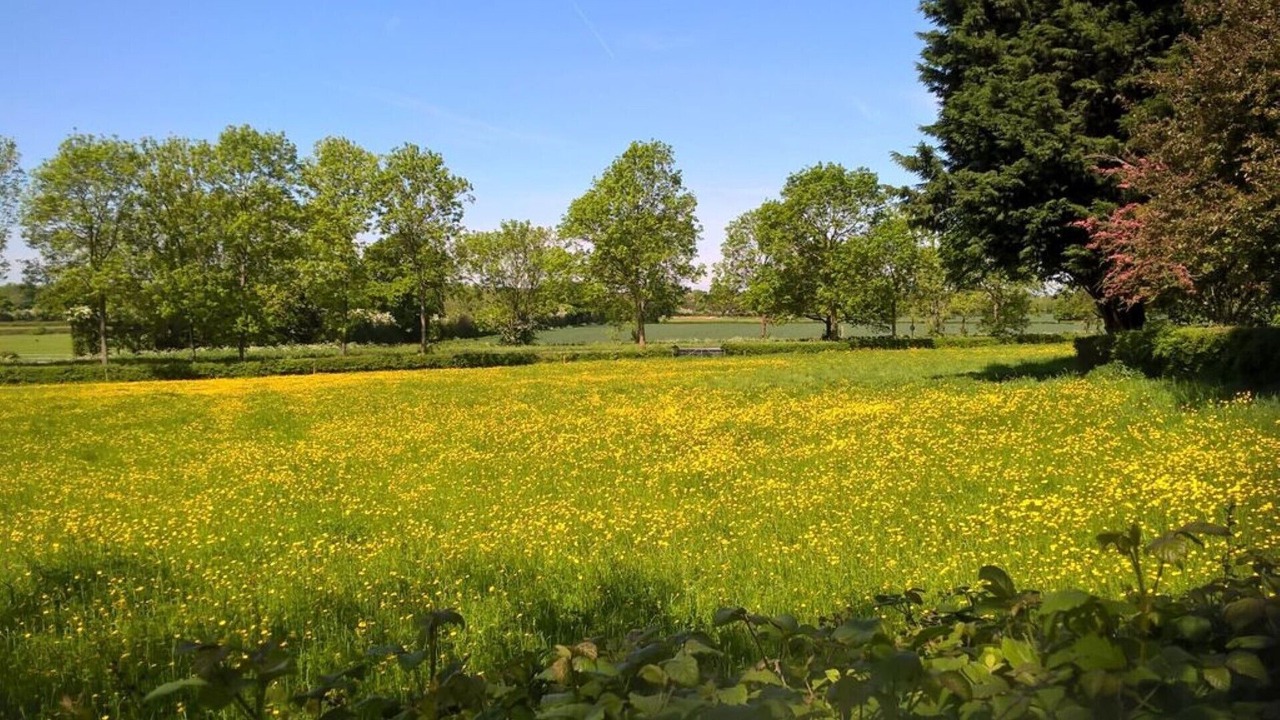 Photo of Outdoor in Hartpury