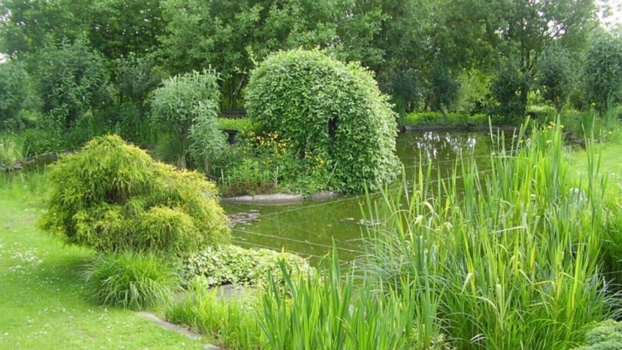 Photo of Outdoor in Hartpury