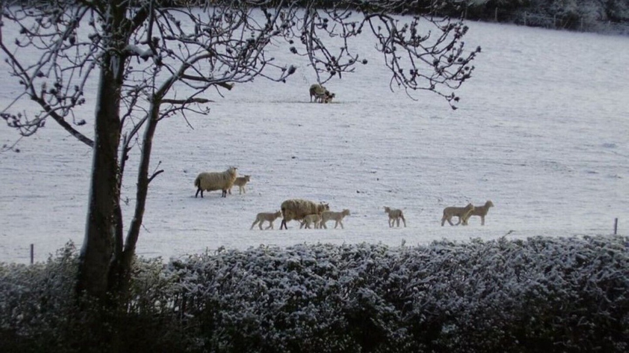 Photo of Others in Hartpury