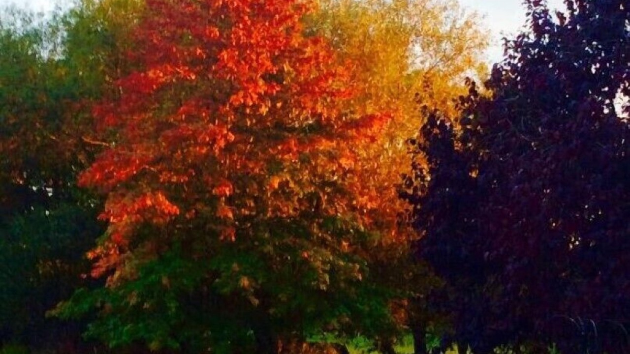 Photo of Others in Hartpury