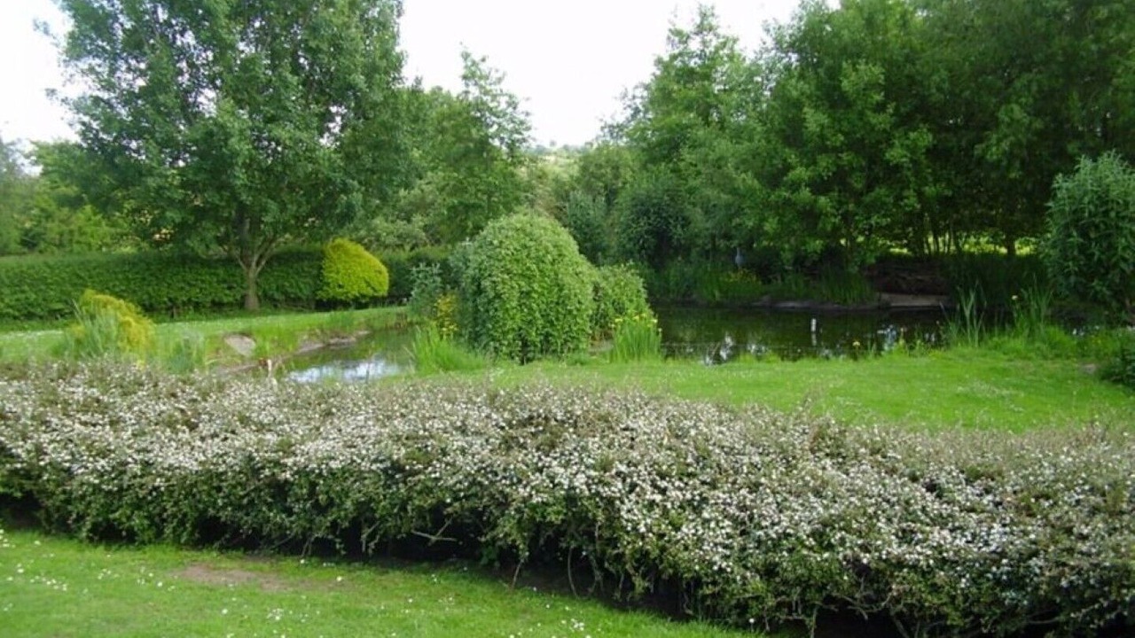 Photo of Others in Hartpury