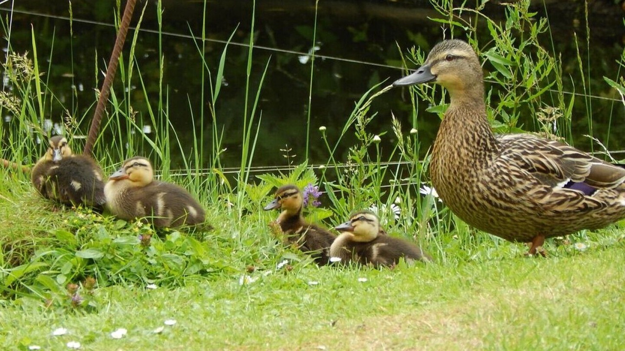 Photo of Others in Hartpury