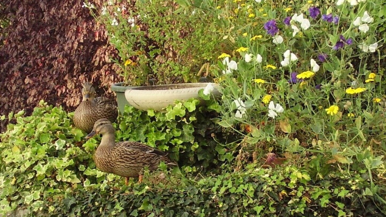 Photo of Others in Hartpury