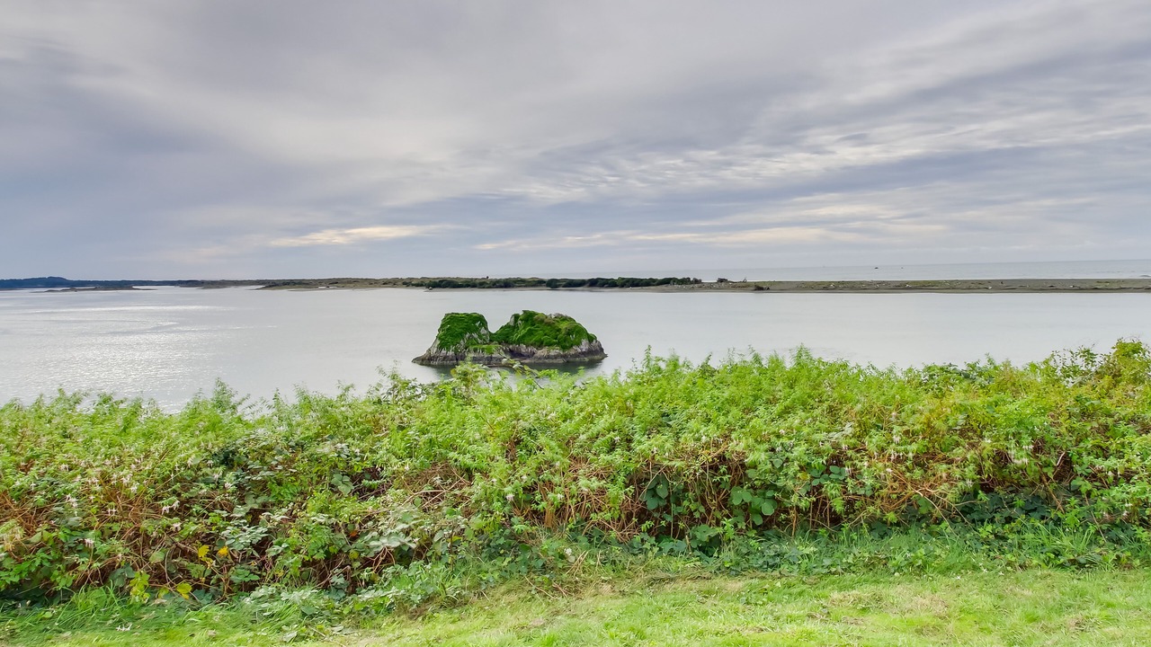 Photo of Others in Smith River