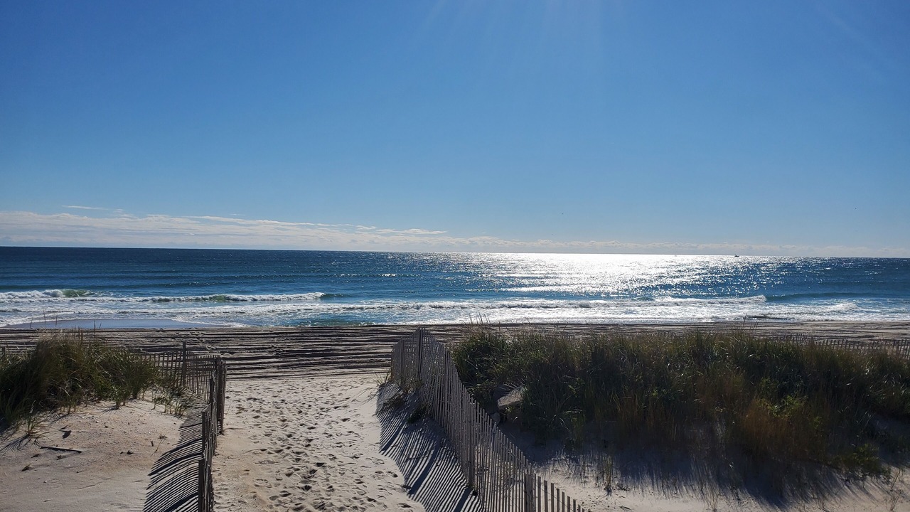 Photo of Others in Bay Shore