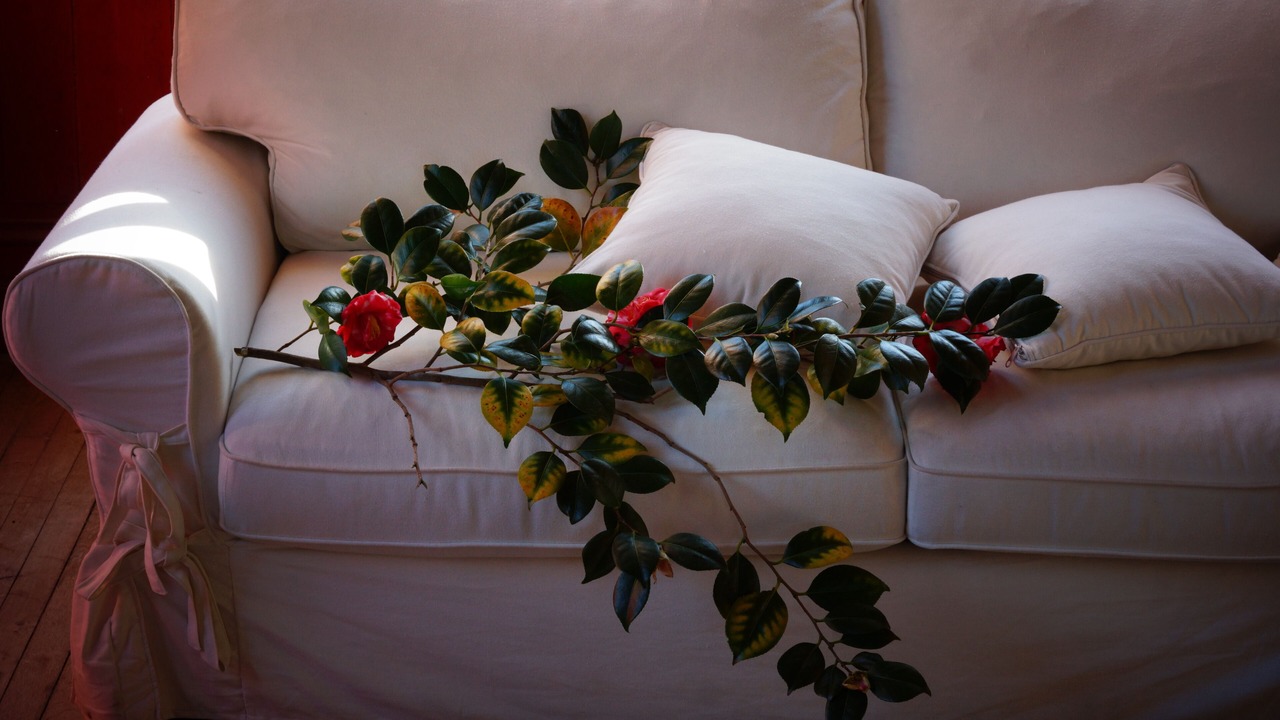 Photo of Others in La Paquelais